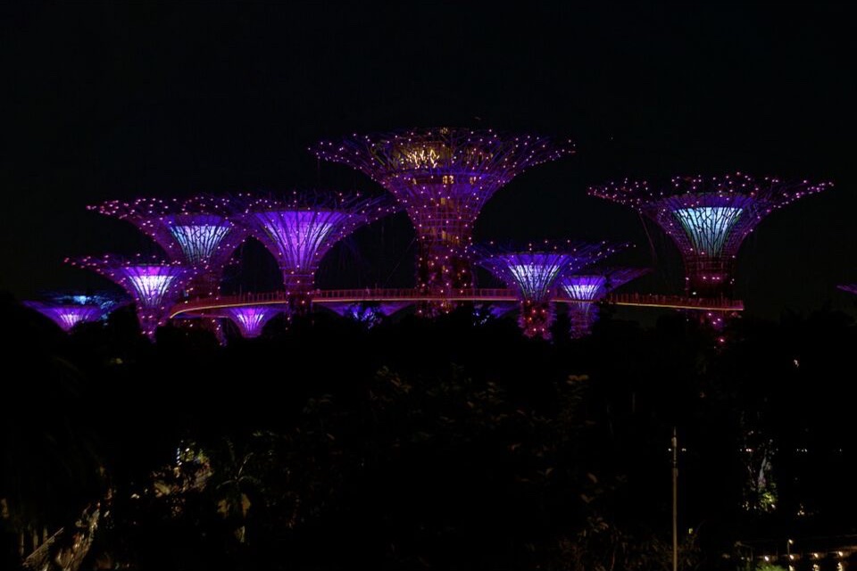 Illuminated Supertrees at Gardens by the Bay in Singapore after sunset